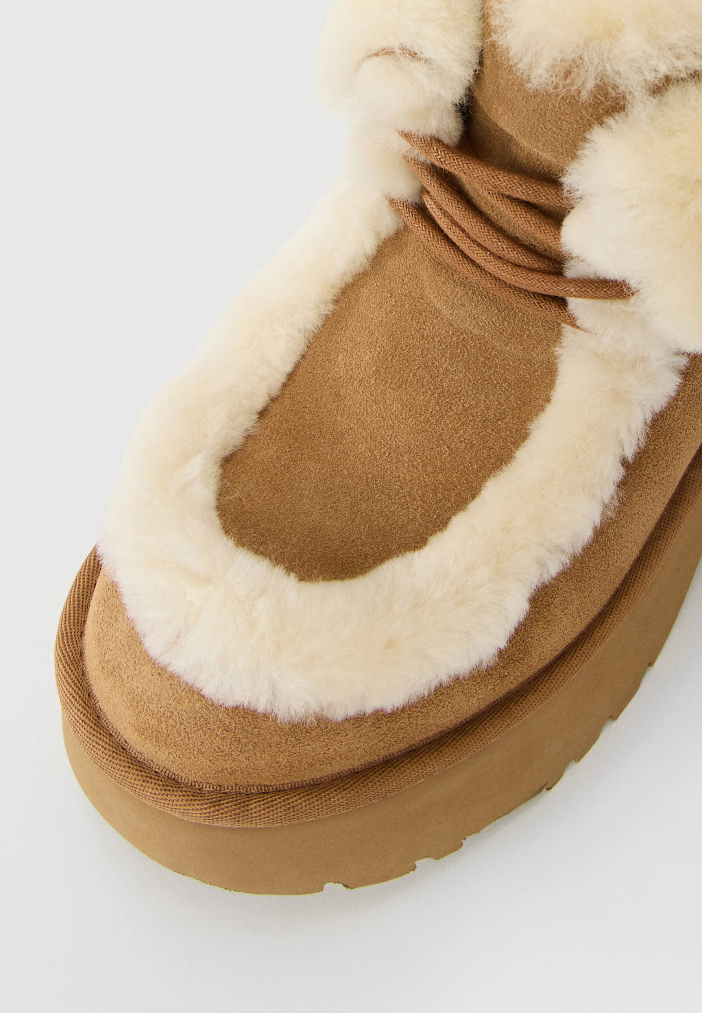 NEW HEIGHTS LACE UP - Lace-up ankle boots