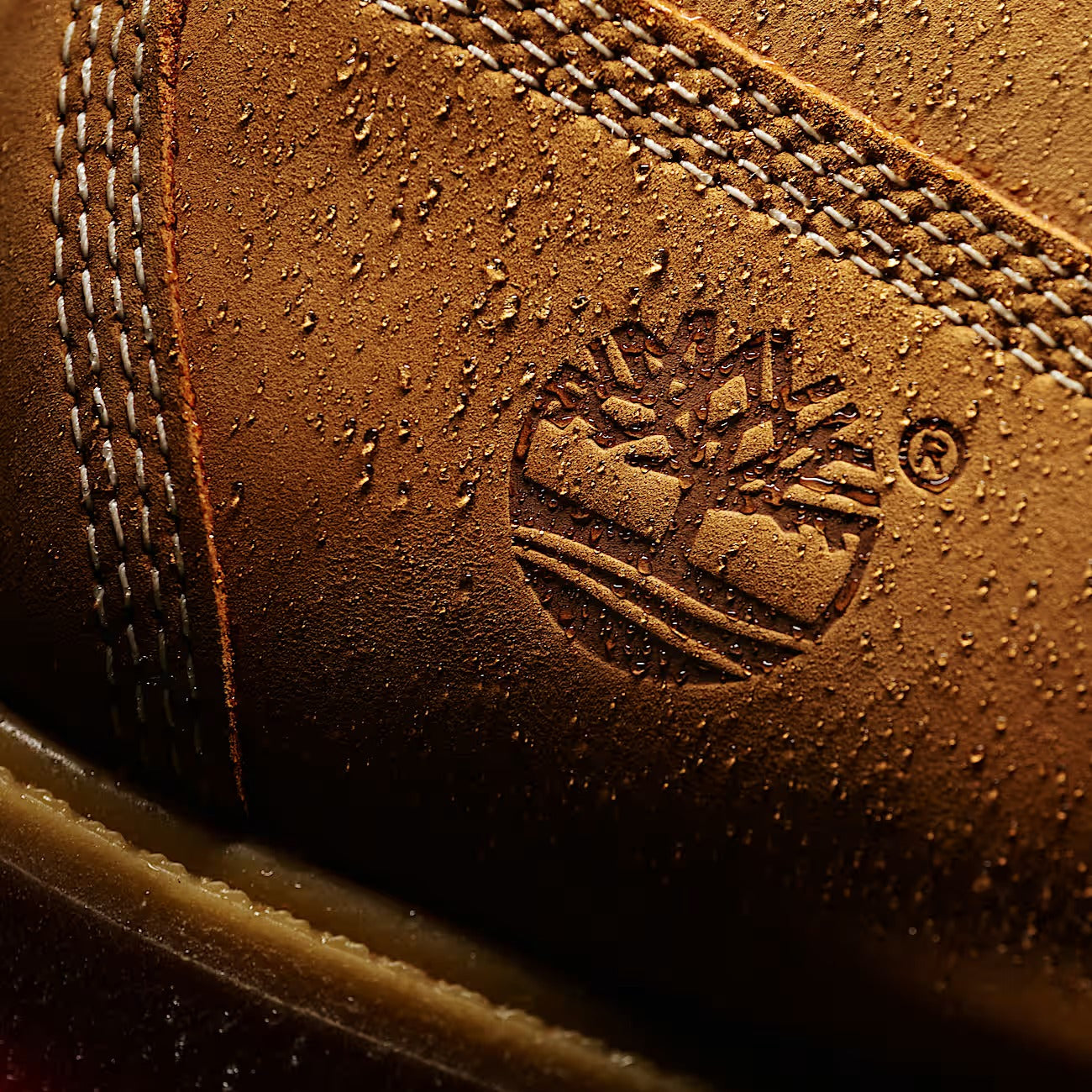 Timberland - PREMIUM 6-INCH WATERPROOF BOOT